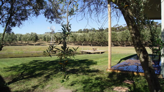 SONY DSC